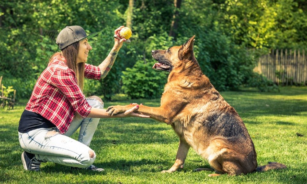 Client Story: A Hopeful New Beginning